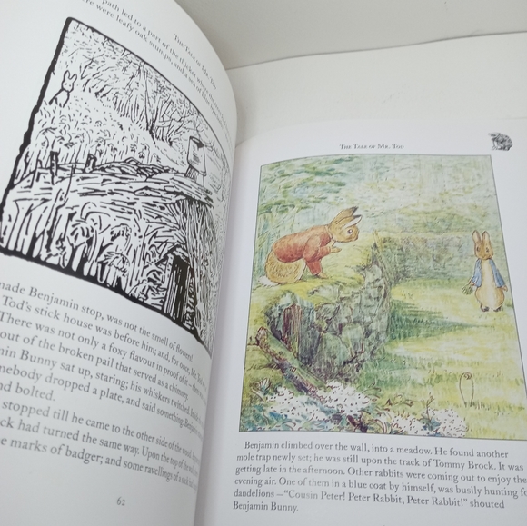The Complete Adventures of Peter Rabbit by Beatrix Potter. Petter Rabbit Book. - Picture 13 of 14